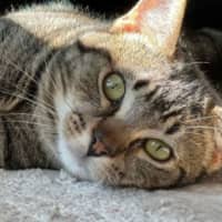 Photo of Charlie