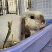 Photo of Samantha & Eddi