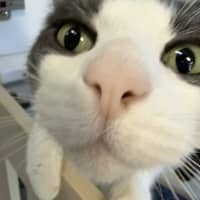Photo of Ceecee