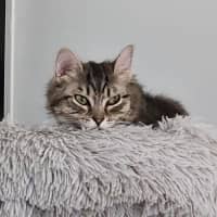 Photo of Sophie