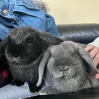 Photo of Unity & Uris