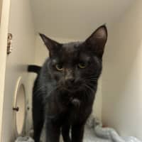 Photo of Snuggles