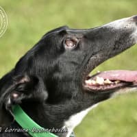 Photo of Jake (Forner's Reign)