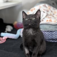 Photo of Edna