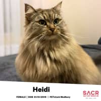Photo of Heidi