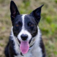 Photo of Bonnie