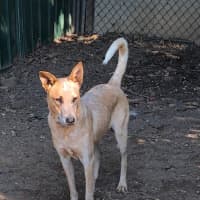 Photo of Rubi