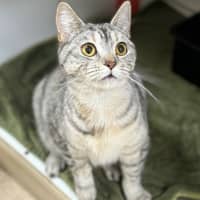 Photo of Charlotte