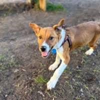 Photo of Latch