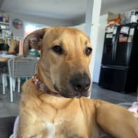 Photo of Winnie 