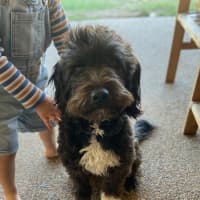 Photo of Daisy