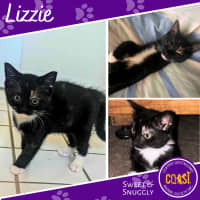 Photo of Lizzie