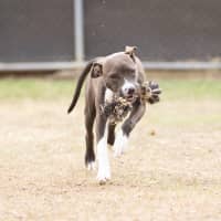 Photo of Athena