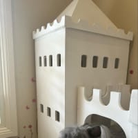 Photo of Pebbles (W Cotton Candy)