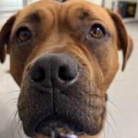 Photo of Baby