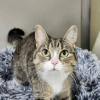 Photo of 🎭 Mischief 6423 🎭