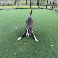 Photo of Rosie Imp 1897