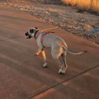 Photo of Marcel (Max)