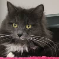 Photo of Maxine
