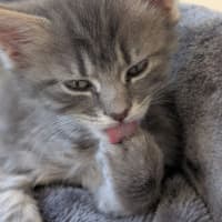 Photo of Evelyn