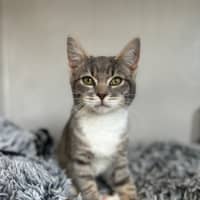 Photo of Bunny