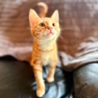 Photo of Puddles   In Foster Care In Templestowe