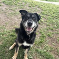 Photo of Zeus 