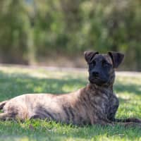 Photo of Maggie