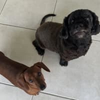 Photo of Lucy And Stanley