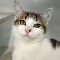 Photo of Claudette