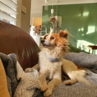 Photo of Basil Silvanus