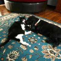 Photo of Rubeus