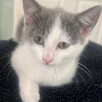 Photo of Molly 