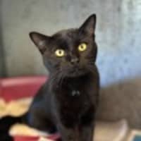 Photo of Bartholomew