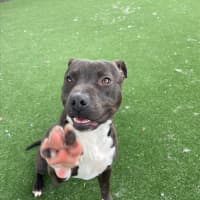 Photo of Axel Imp 1660