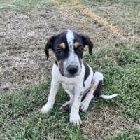 Photo of Theodore (P10)