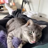 Photo of Thunda