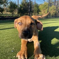 Photo of Cloud Imp 1722