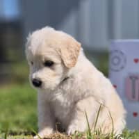 Photo of Burt