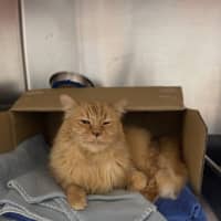 Photo of Roary