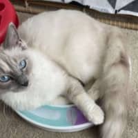 Photo of Sofie