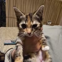 Photo of Enid Addams