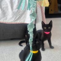 Photo of Mary (9202)