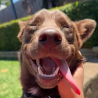 Photo of Max Brenner 🍫 