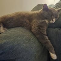 Photo of Butternut