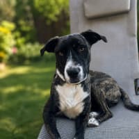 Photo of Zelda