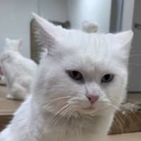 Photo of Liyana And Luci