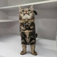 Photo of Mimi