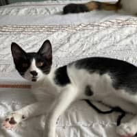 Photo of Lucy