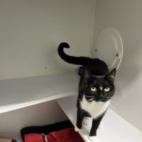 Photo of Shelly